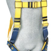 HARN TB CON 1D D2-CAPITAL SAFETY-098-1102526