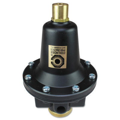 1/2" TAMPERPROOF REGULATOR-COILHOSE *166-166-8804K