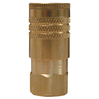 1/4 NPT FEMALE-DIXON VALVE-238-DC38