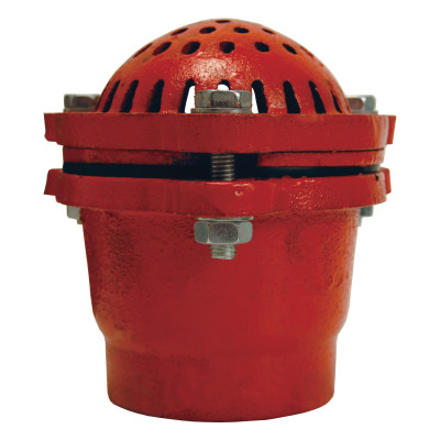 4 FOOT VALVE PAINTED-DIXON VALVE-238-DFVS40
