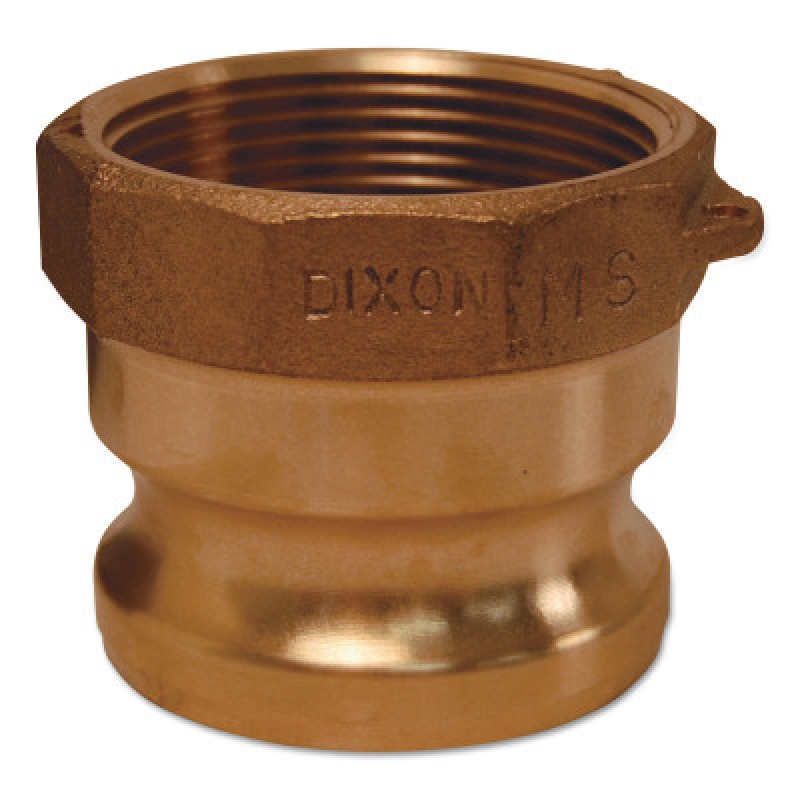 2 1/2" BRASS GLOBAL FEMALE NPT X-DIXON VALVE-238-G250-A-BR