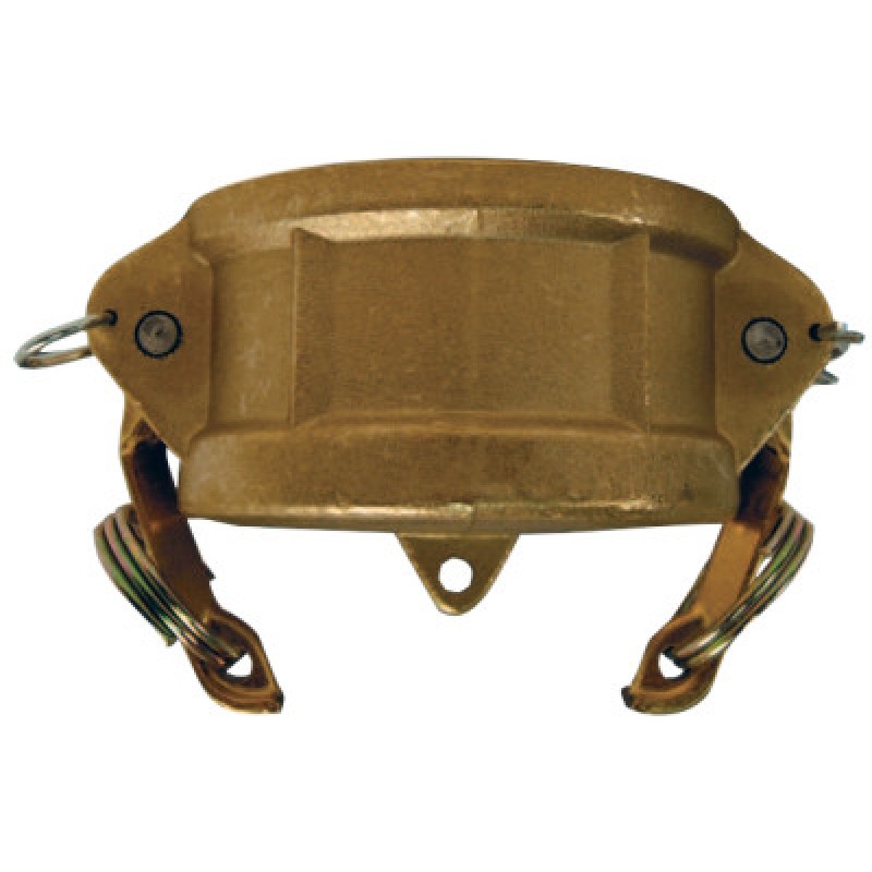 3" BRASS GLOBAL DUST CAP-DIXON VALVE-238-G300-DC-BR