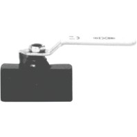 1/4 STEEL BALL VALVE-DIXON VALVE-238-IBV25