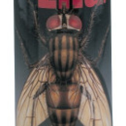 DYMON-THE END DRY FOG FLYING INSECT SPRAY-ITW PROF BRANDS-253-45120