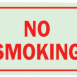 GLOW-IN-THE-DARK NO SMOKING 7X10 SIGN-BRADY WORLDWIDE-262-80248