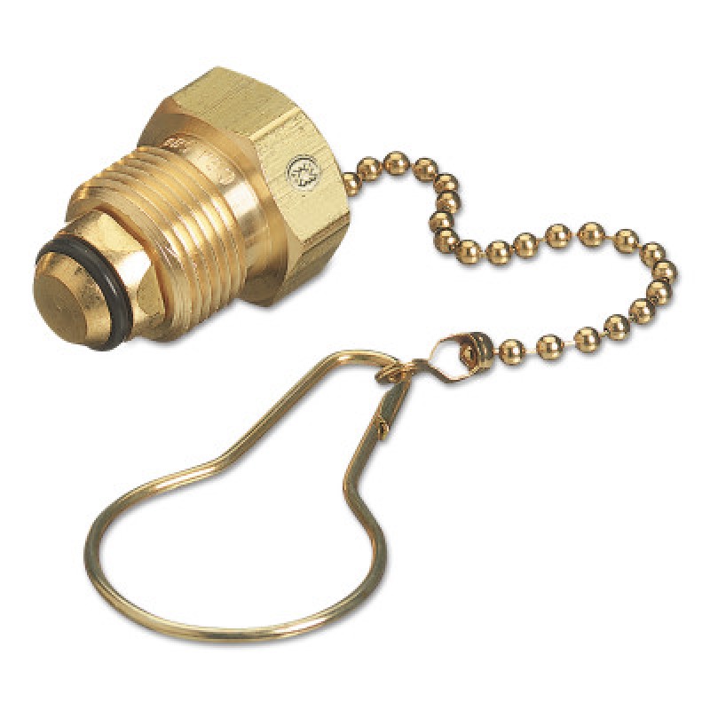 WE 992 CHAIN & PLUG-WESTERN-312-992