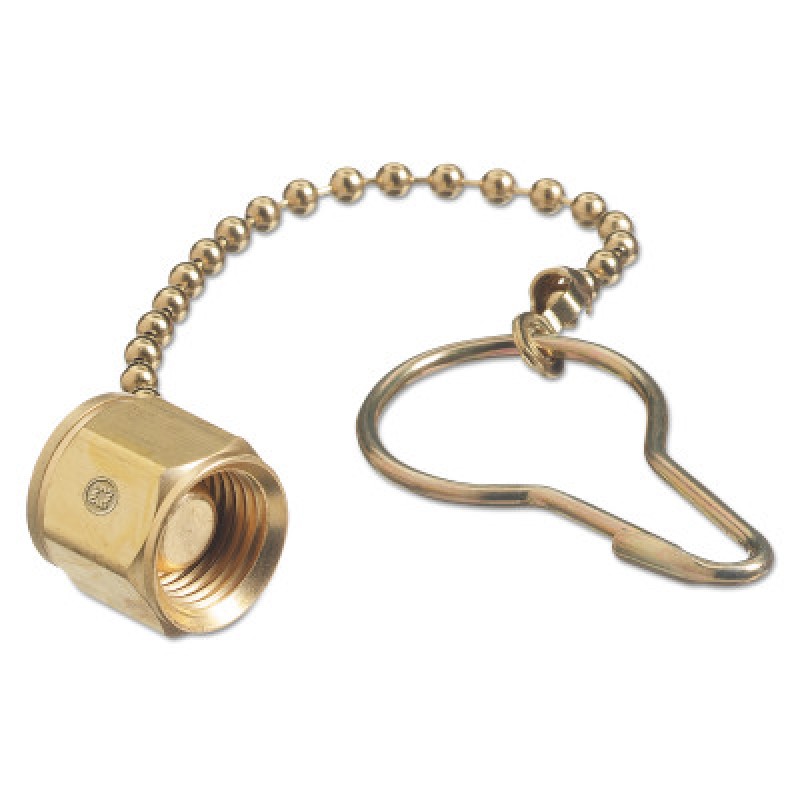 WE C-907 CHAIN & PLUG-WESTERN-312-C-907