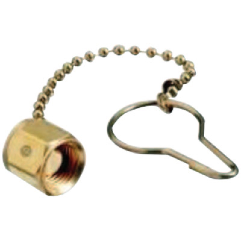 WE 962 CHAIN & PLUG-WESTERN-312-962