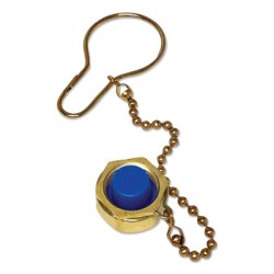 WE DC-540 DUST CAP ASSEMBLY-WESTERN-312-DC-540