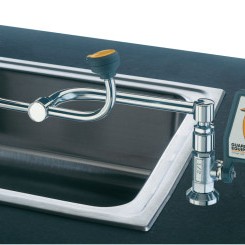 2-HEAD 90 DEGREE SWIVELEYE WASH DECK MOUNTED-GUARDIAN *333*-333-G1806