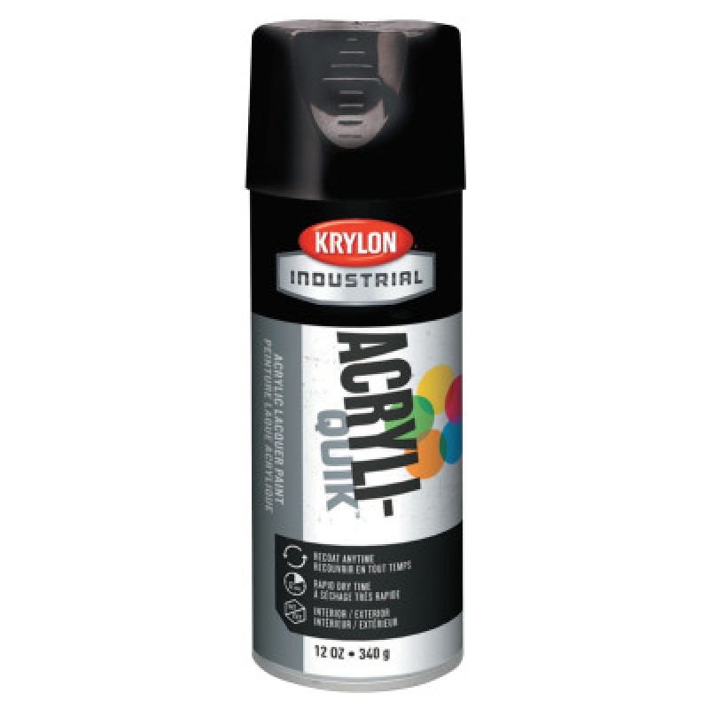 GLOSS BLACK 5 BALL INTERIOR/EXTERIOR SPRAY PAINT-DIVERSIFIED BR-425-K01601A07