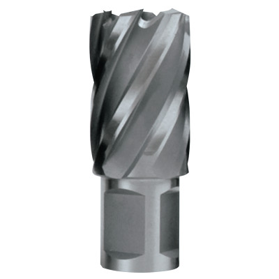 CYCLONE CUTTER 1"X2"-EVOLUTION POWER-510-CC100L