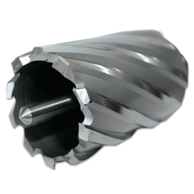 CYCLONE CUTTER 13/16"X2"-EVOLUTION POWER-510-CC812L