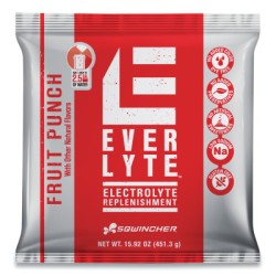 2.5GAL EVERLYTE FRUIT PUNCH POWDER CONCENTRATE-KENT PRECISION-690-159016872