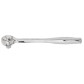 DOUBLE PAWL RATCHET-WRIGHT TOOL ***-875-3490